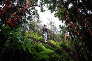 BIB: 
                            <button type="button" onclick="openModal(26203481)" class="btn btn-primary btn-sm float-right btn-popup" data-toggle="modal" data-target=".modal-high-quality">
                        <i class="fas fa-shopping-cart"></i> Add to Cart
                    </button>
                                            <button type="button" onclick="isThisMe(26203481, true)" class="btn btn-success btn-sm float-right btn-popup btn-isme hidden" data-toggle="tooltip" data-placement="bottom" title="นี่คือรูปของคุณใช่ไหม คลิกที่นี่เพื่อเอาเข้าอัลบั้ม">
                        <i class="fas fa-plus"></i> Add to album
                    </button>
                    <button type="button" onclick="isThisMe(26203481, false)" class="btn btn-warning btn-sm float-right btn-popup btn-isnotme hidden">
                        <i class="fas fa-ban"></i> Remove from album
                    </button>